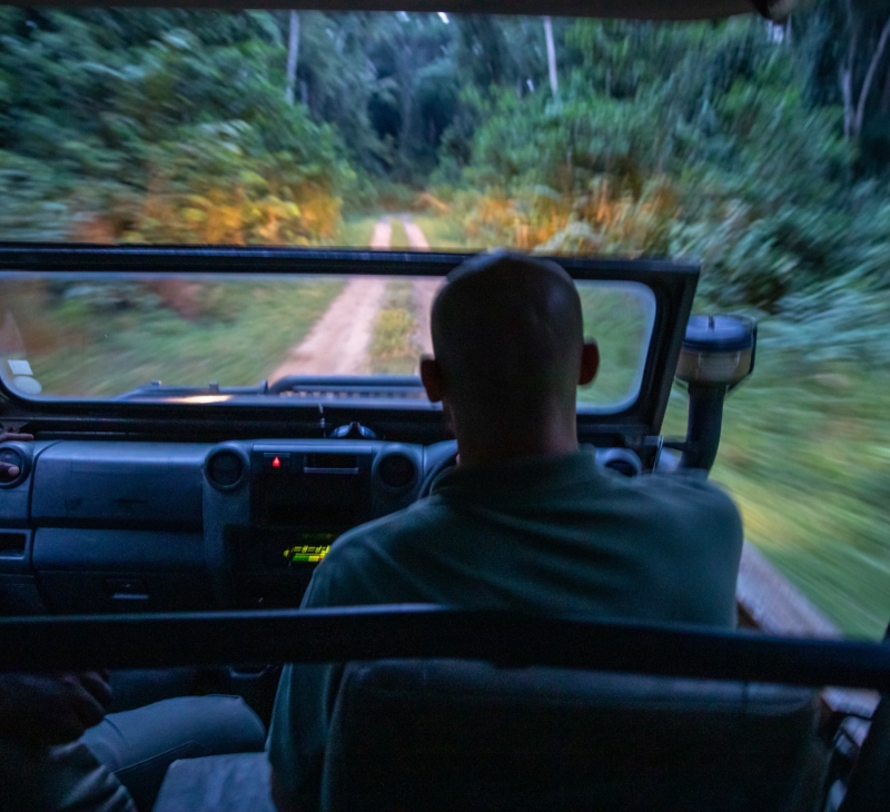 Forest manager