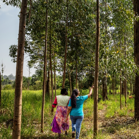 Community members walking through forest in Kenya, cropped