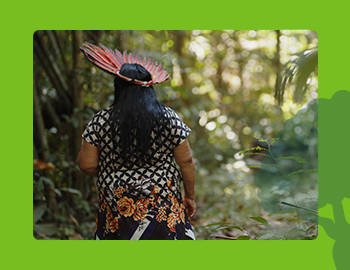 Support Indigenous communities 